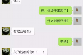 讨债委托书规范：全面解析债务追收的法律依据与操作要点