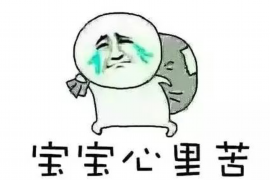 律师如何协助讨债公司有效追回债务