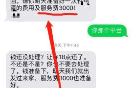 讨债公司是否有法律效力：揭秘债务追收的法律边界